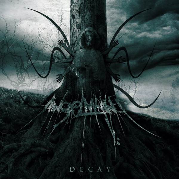 Decay album cover