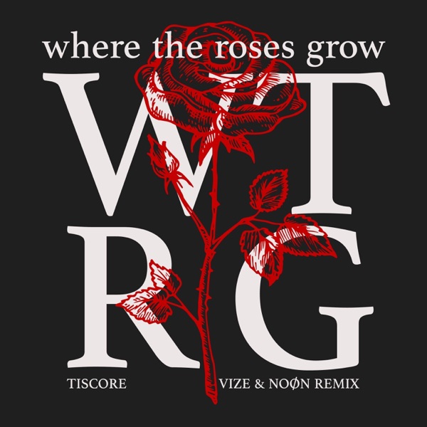 Where The Roses Grow (VIZE & NOØN Remix) - Single album cover