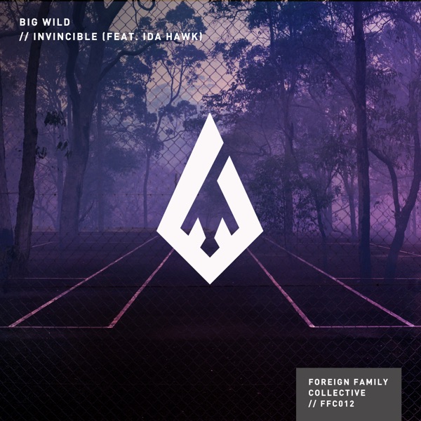 Invincible (feat. iDA HAWK) - Single album cover