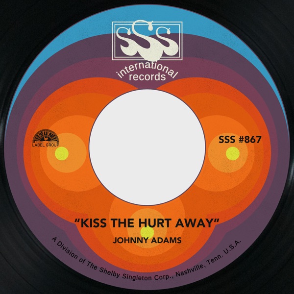 Kiss the Hurt Away / Something Worth Leaving For - Single album cover