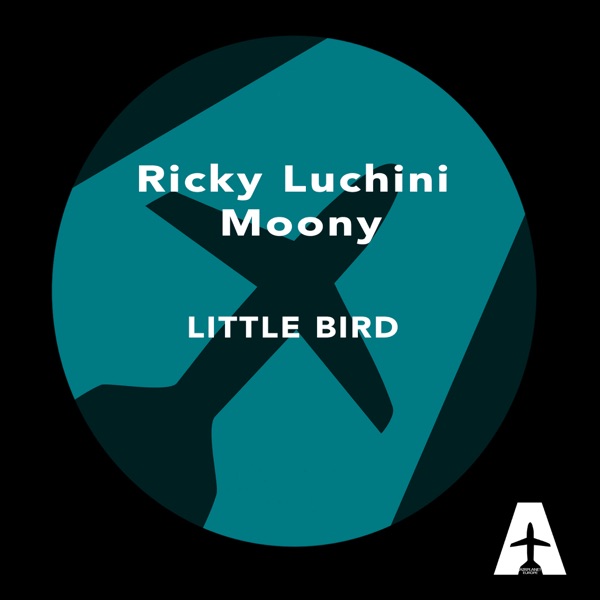 Little Bird album cover