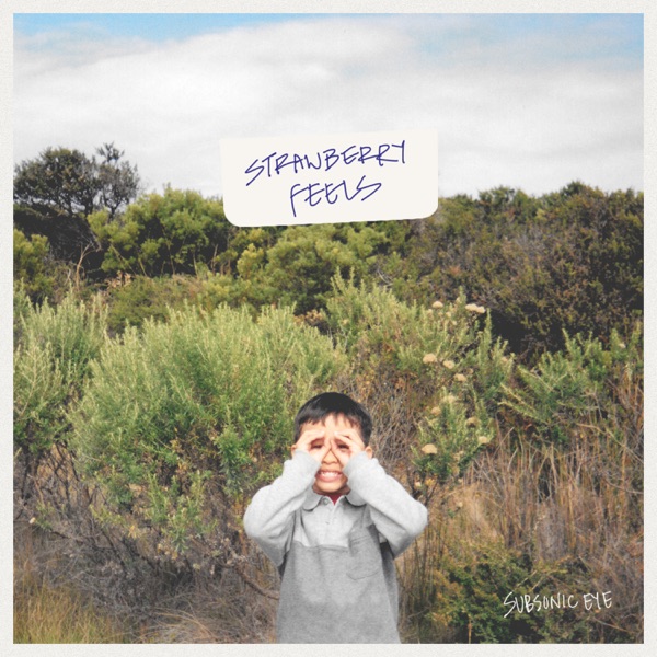 Strawberry Feels album cover