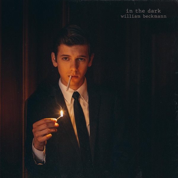 In the Dark - Single album cover