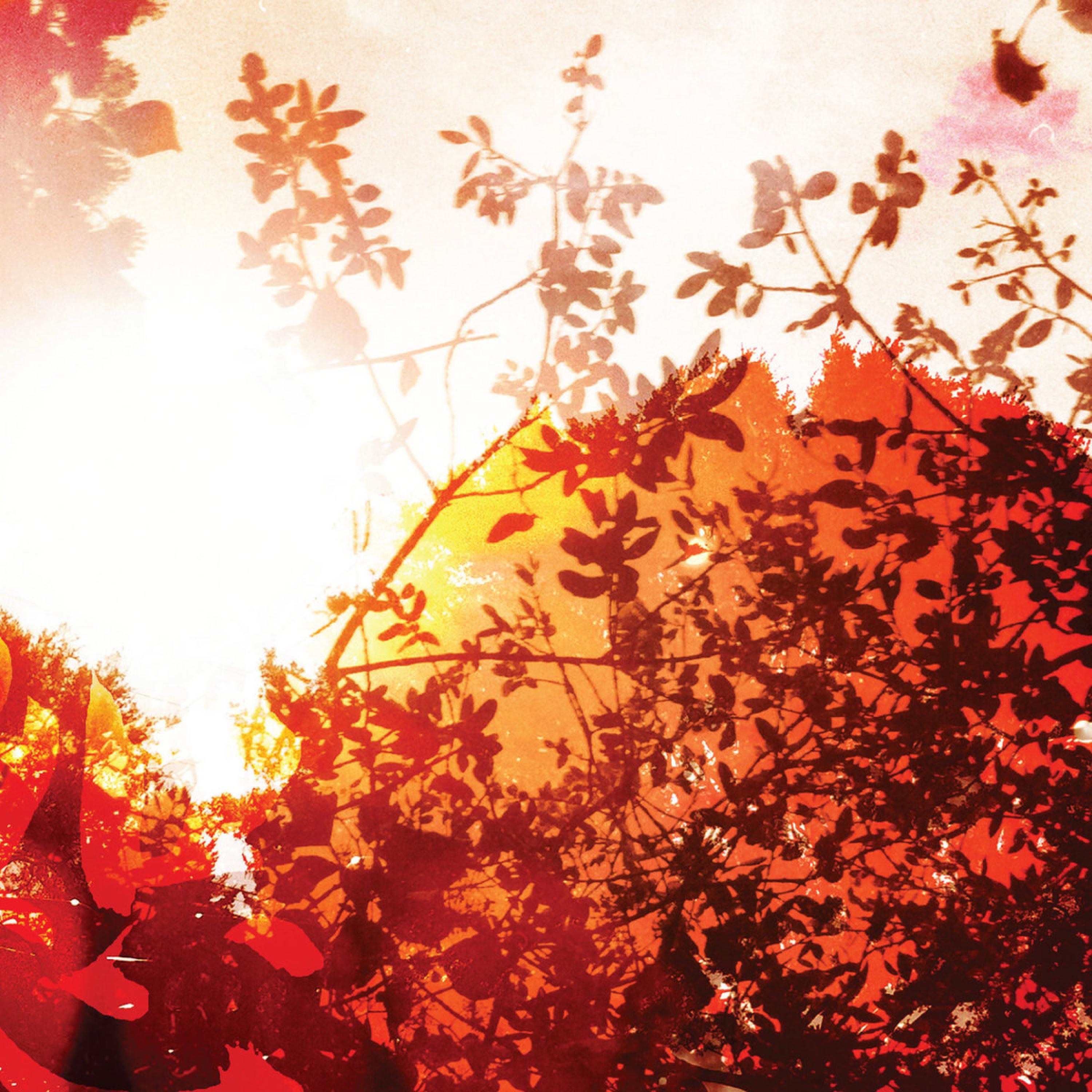 All is Forgiven album cover