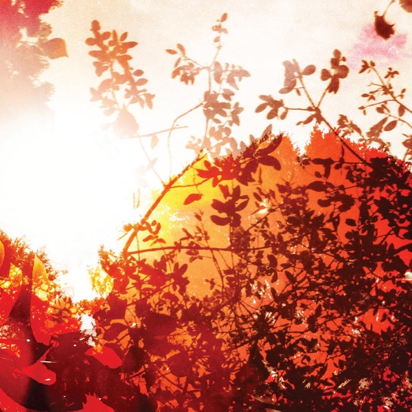 All is Forgiven album cover