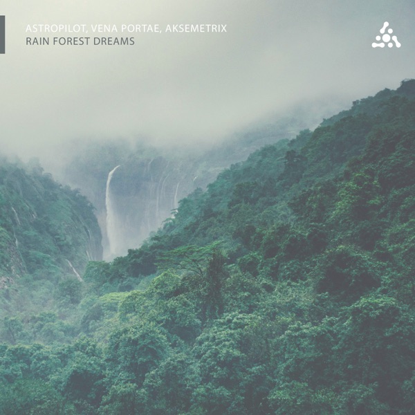 Rain Forest Dreams - Single album cover