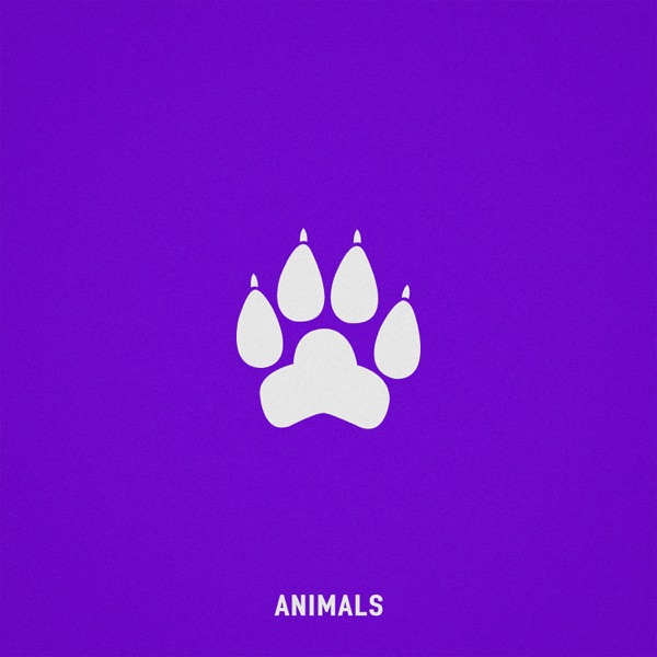 Animals - Single album cover