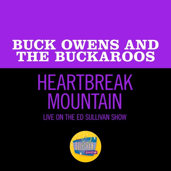 Heartbreak Mountain (Live On The Ed Sullivan Show, November 29, 1970) - Single album cover