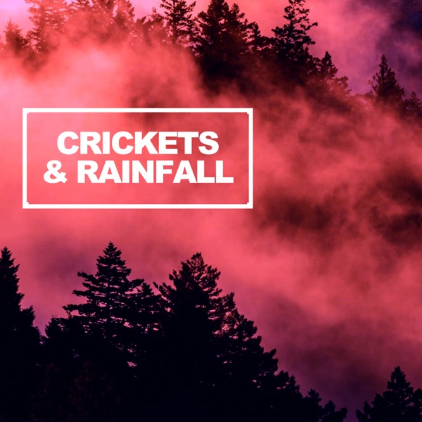 Crickets & Rainfall - EP album cover