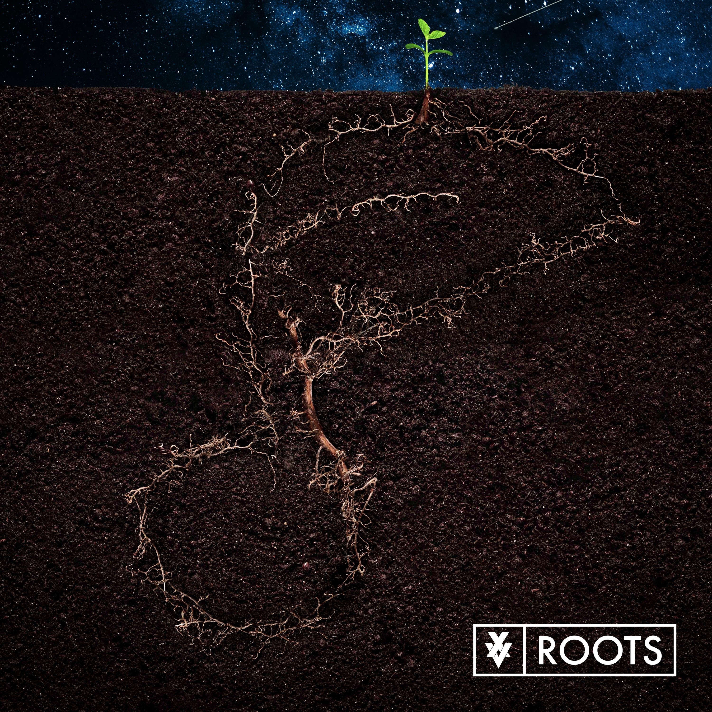 Roots - Single album cover