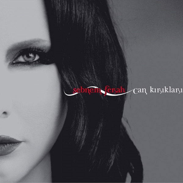 Can Kırıkları album cover