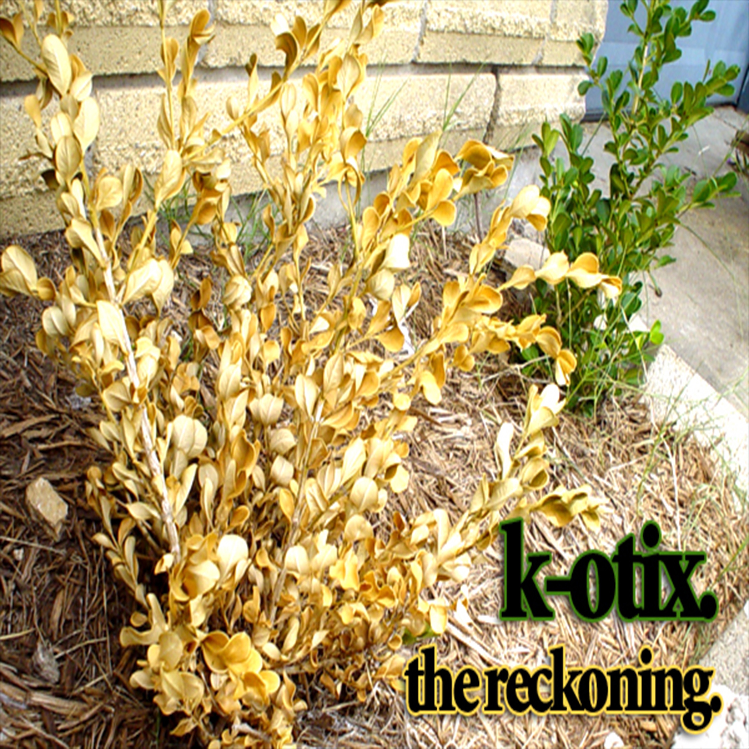 The Reckoning album cover