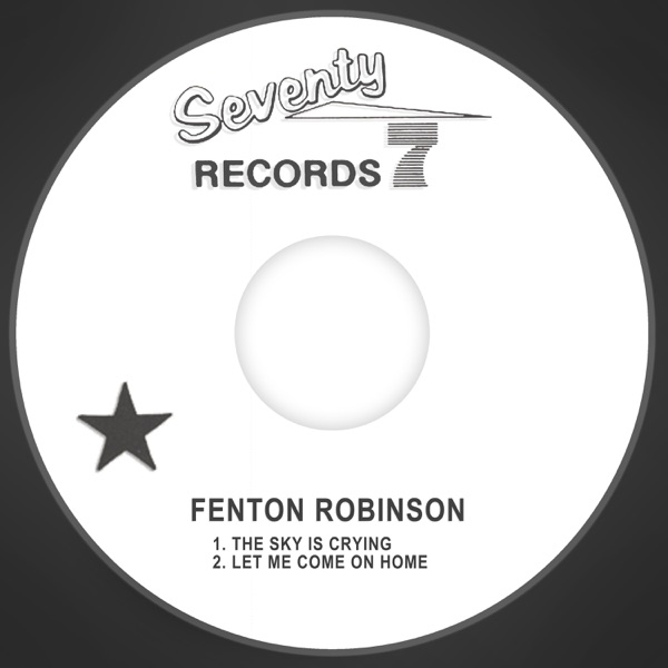 The Sky is Crying / Let Me Come on Home - Single album cover