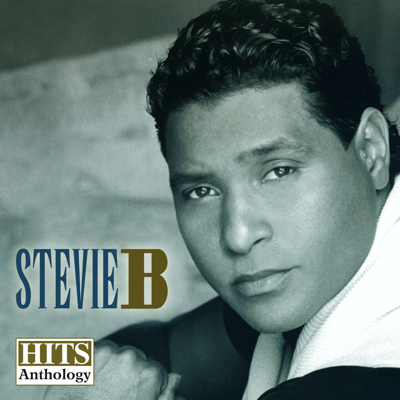 Hits Anthology, Vol. 1 album cover