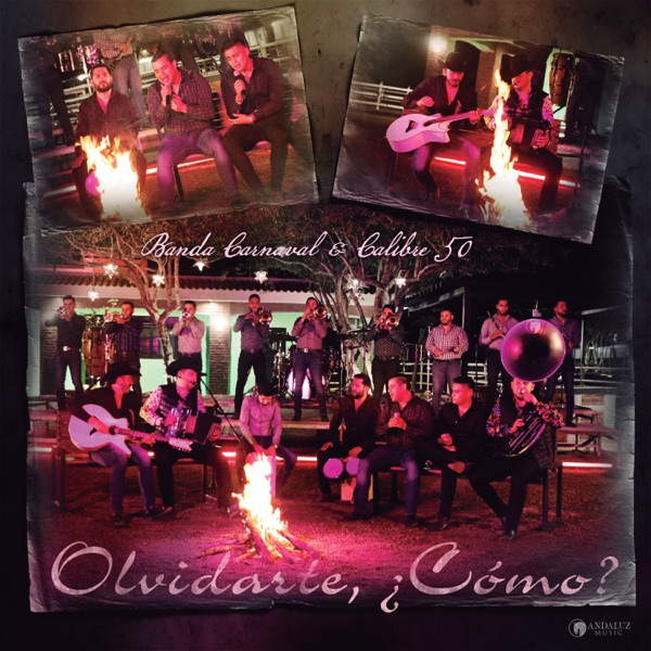 Olvidarte, ¿Cómo? (En Vivo) - Single album cover