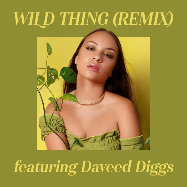 Wild Thing (feat. Daveed Diggs) [Remix] - Single album cover