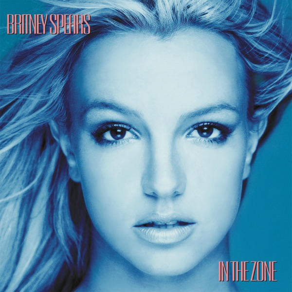 In the Zone album cover