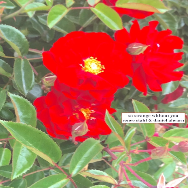 So Strange Without You - Single album cover