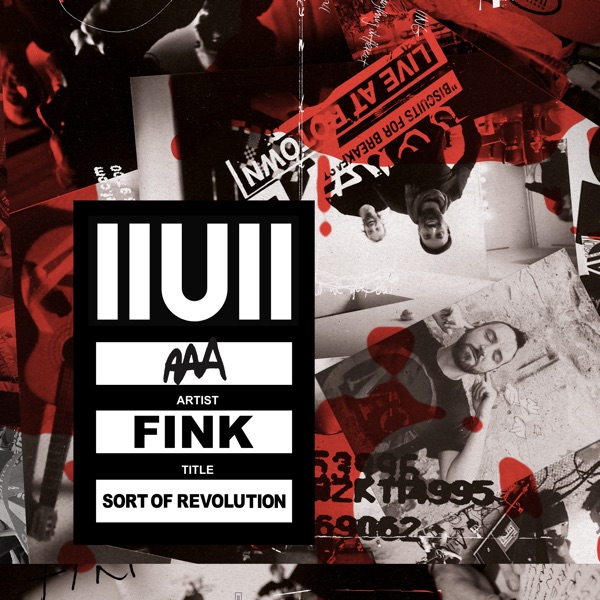 Sort of Revolution (IIUII Edit) - Single album cover