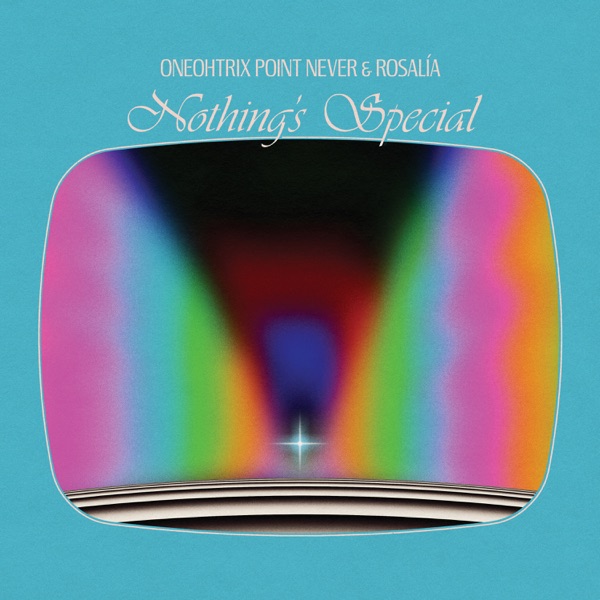 Nothing's Special - Single album cover