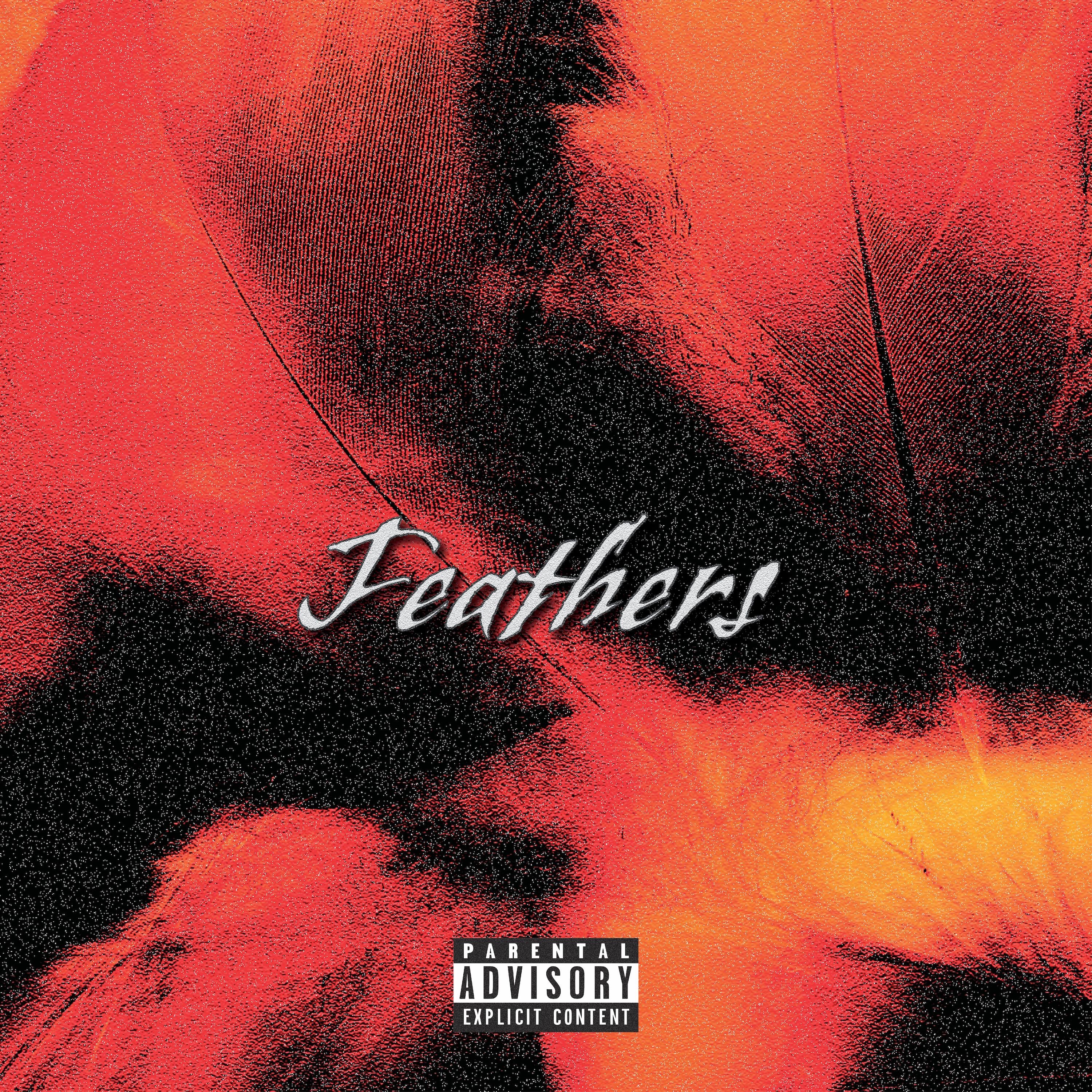 Feathers - Single album cover