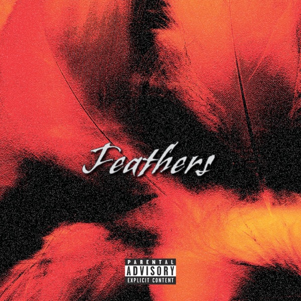 Feathers - Single album cover