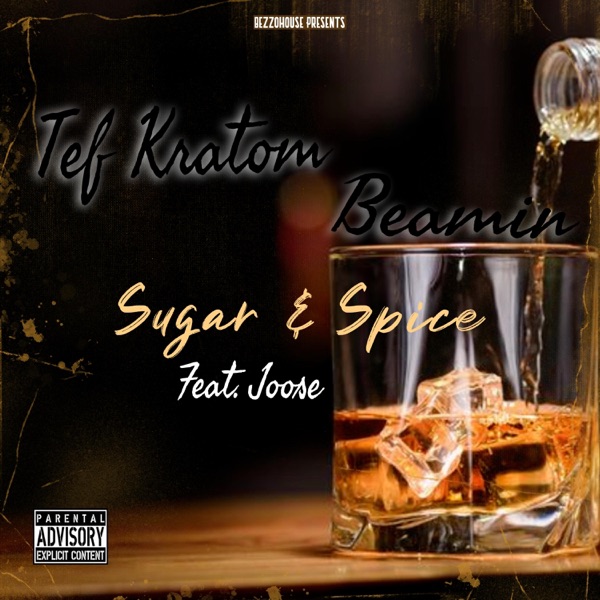 Sugar & Spice (feat. Joose) - Single album cover
