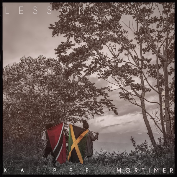 Lessons - Single album cover