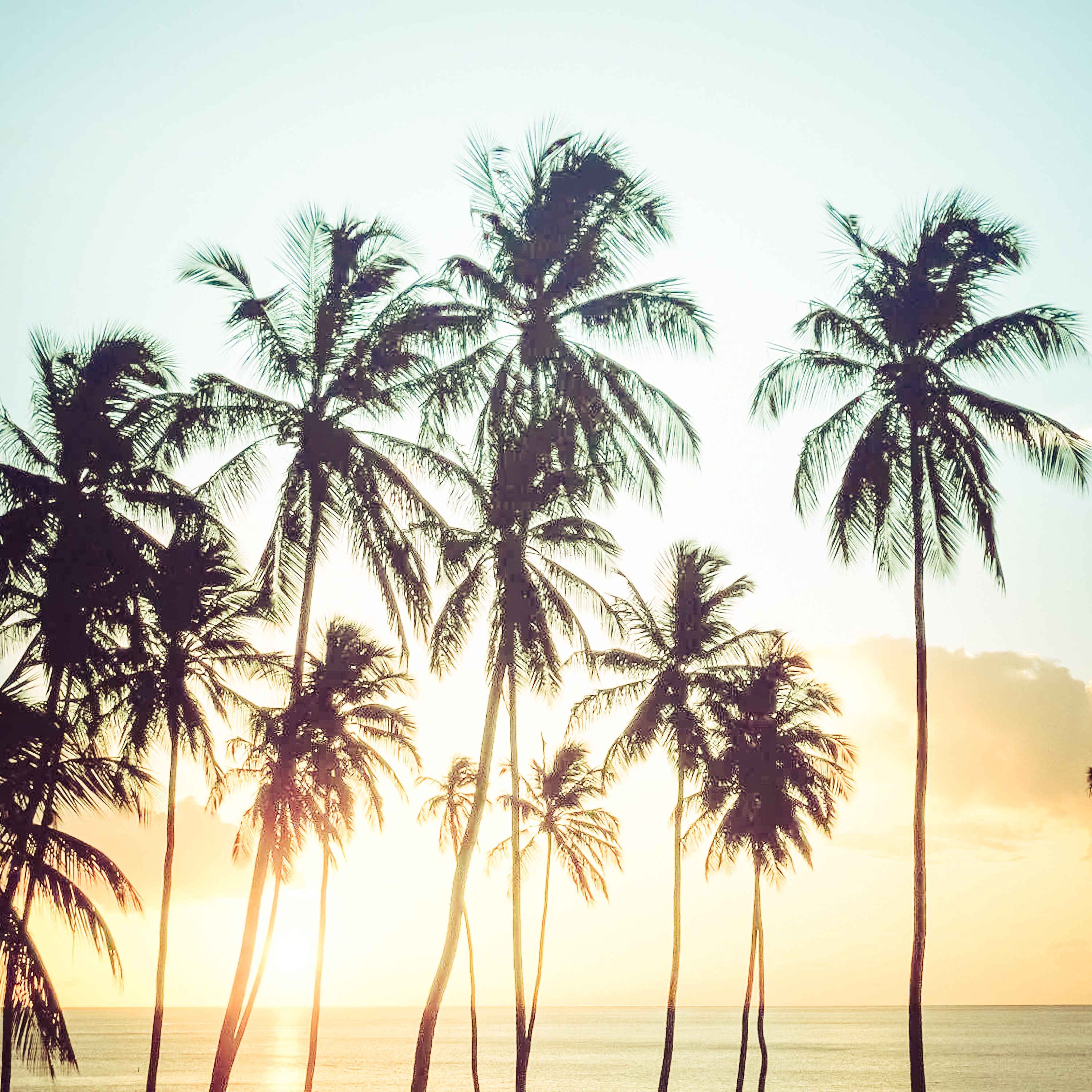 Salonica-Hawaii - Single album cover