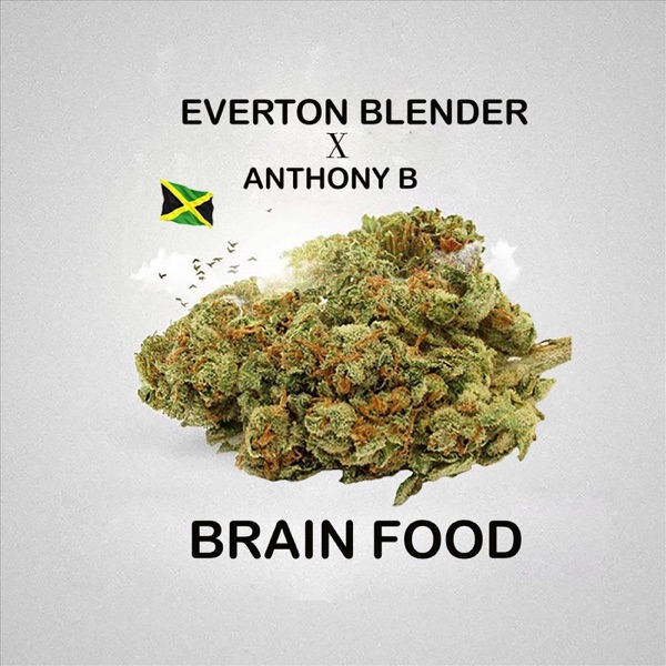 Brain Food (feat. Anthony B) - Single album cover