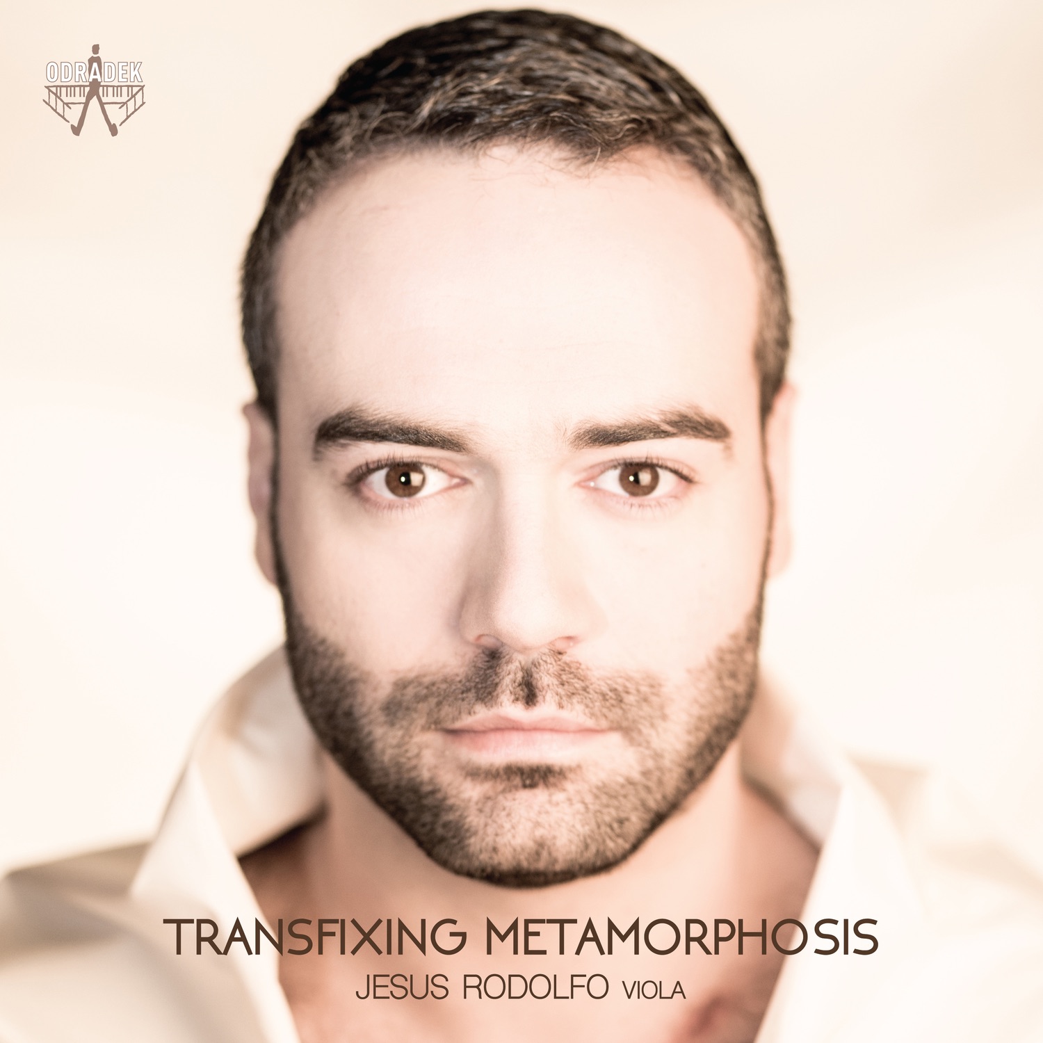Transfixing Metamorphosis album cover