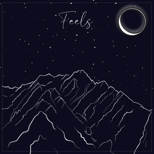 Feels - EP album cover