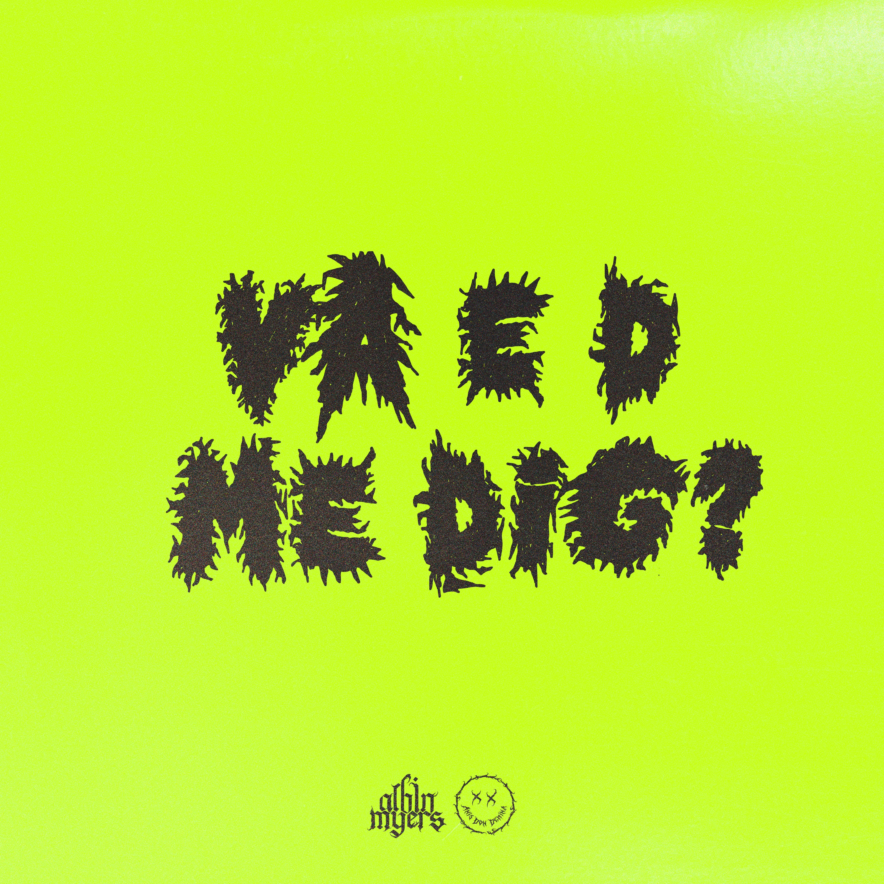 VA E D ME DIG? - Single album cover