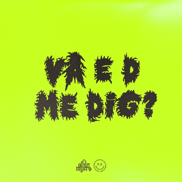 VA E D ME DIG? - Single album cover