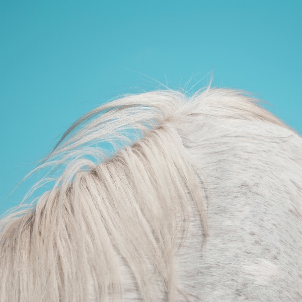 All Yours album cover