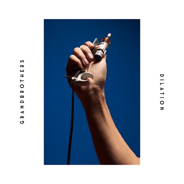 Dilation (Deluxe Version) album cover