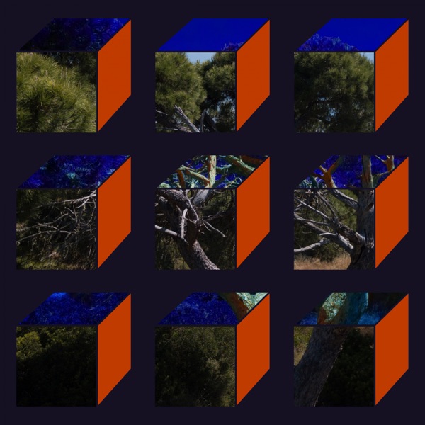 At Night (Naz Remix) - Single album cover