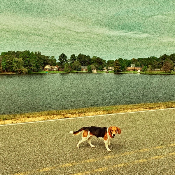 The Bay - Single album cover