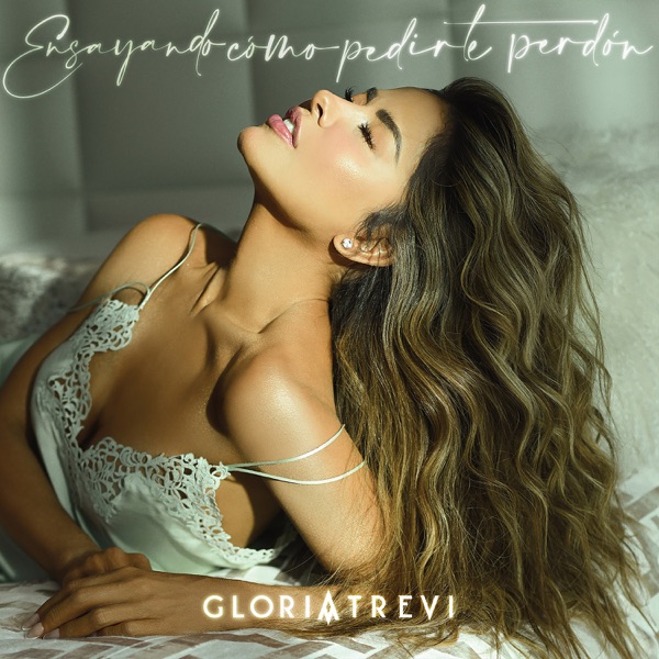 Ensayando Cómo Pedirte Perdón - Single album cover