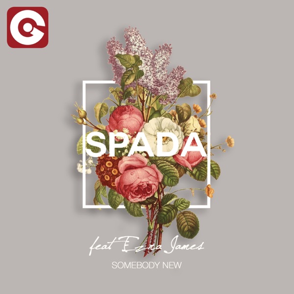 Somebody New (feat. Ezra James) - Single album cover