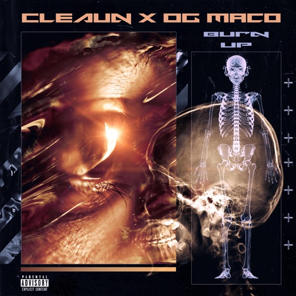 BURN UP (feat. OG Maco) - Single album cover