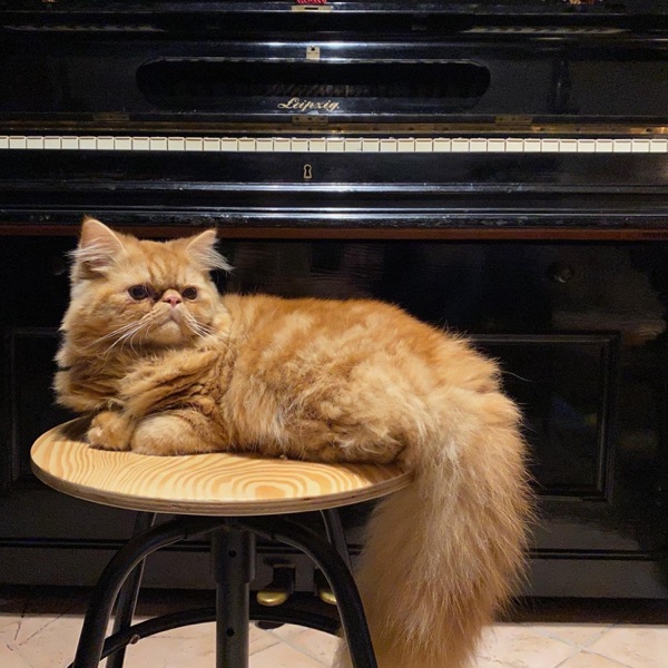 Dr. Jones - Single album cover