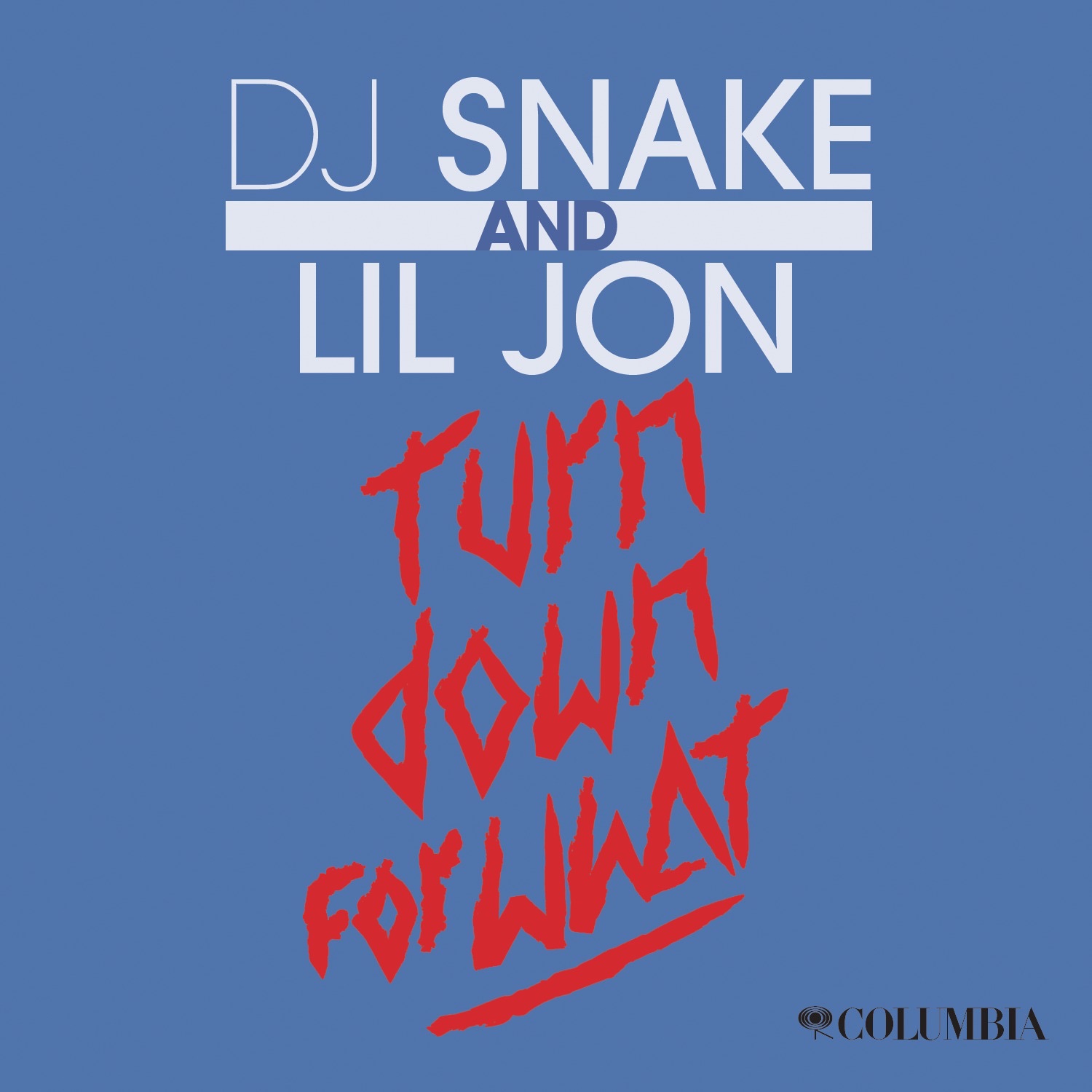 Turn Down for What - Single album cover