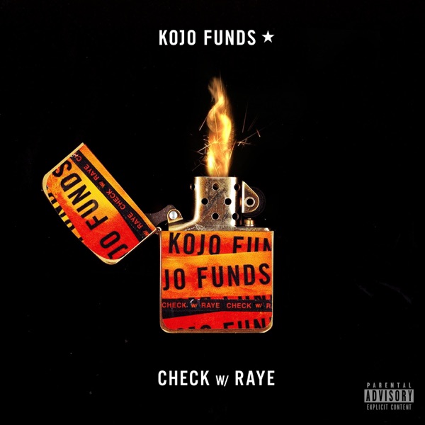 Check (feat. RAYE) album cover