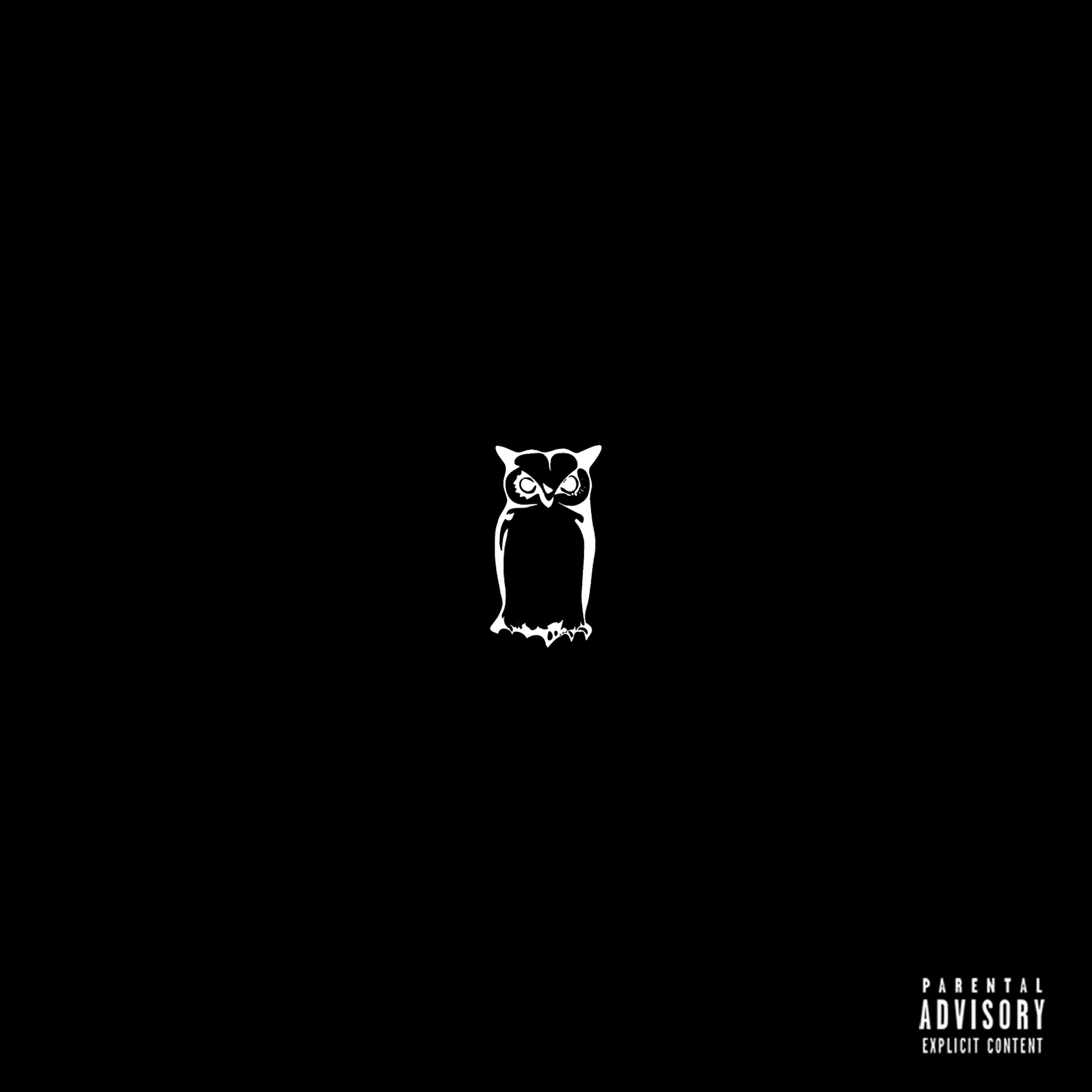 Night Owls - Single album cover