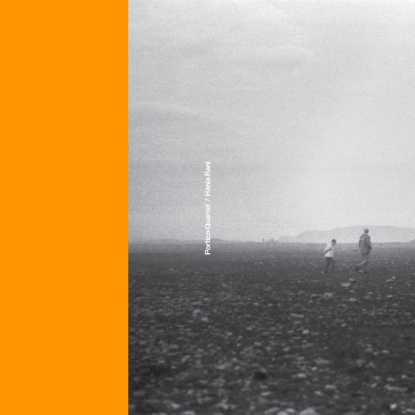 Portico Quartet / Hania Rani - Single album cover