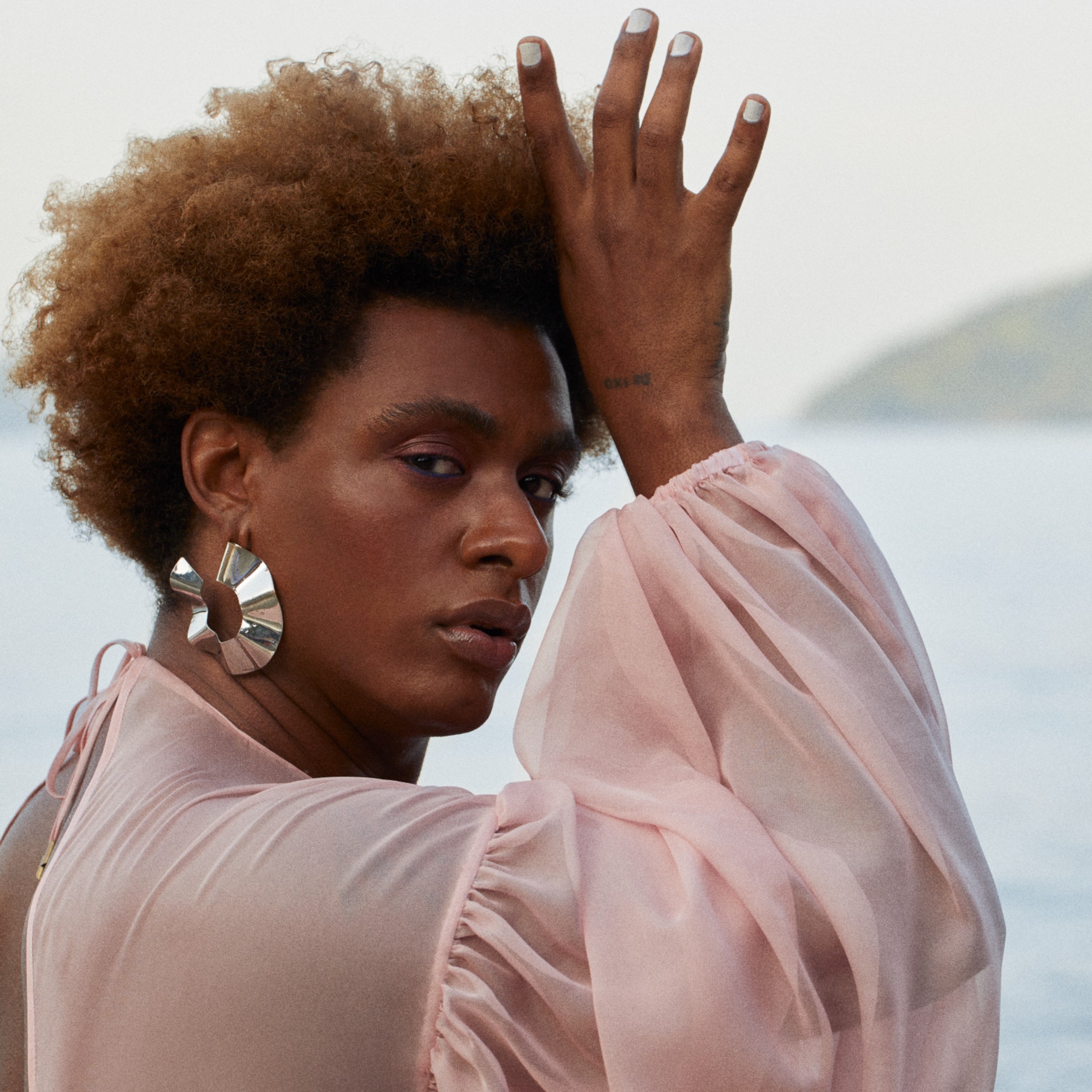 Indigo Borboleta Anil album cover