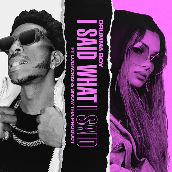 I Said What I Said (feat. Ludacris & Snow Tha Product) - Single album cover