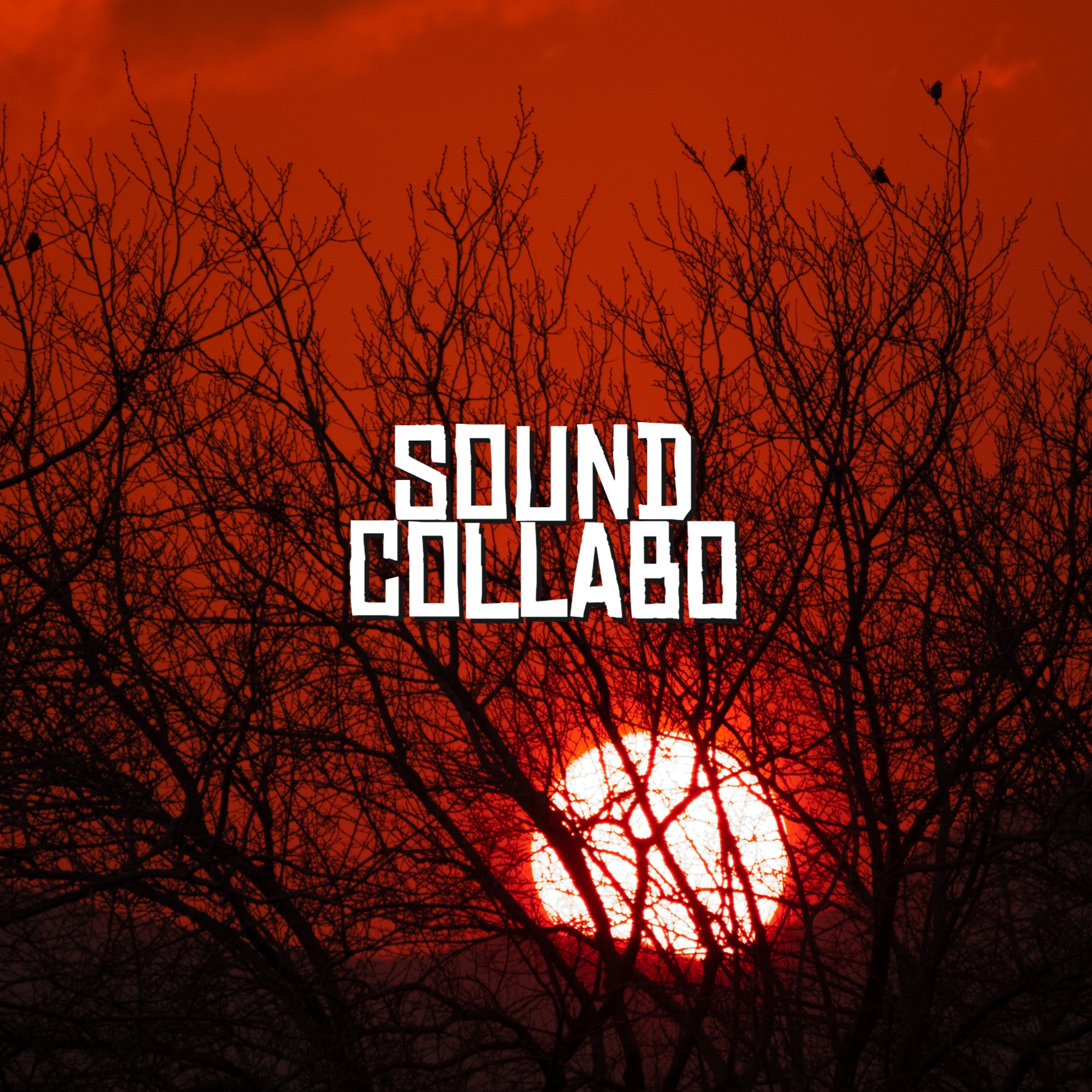 Nature Sounds Midnight Creek - Single album cover