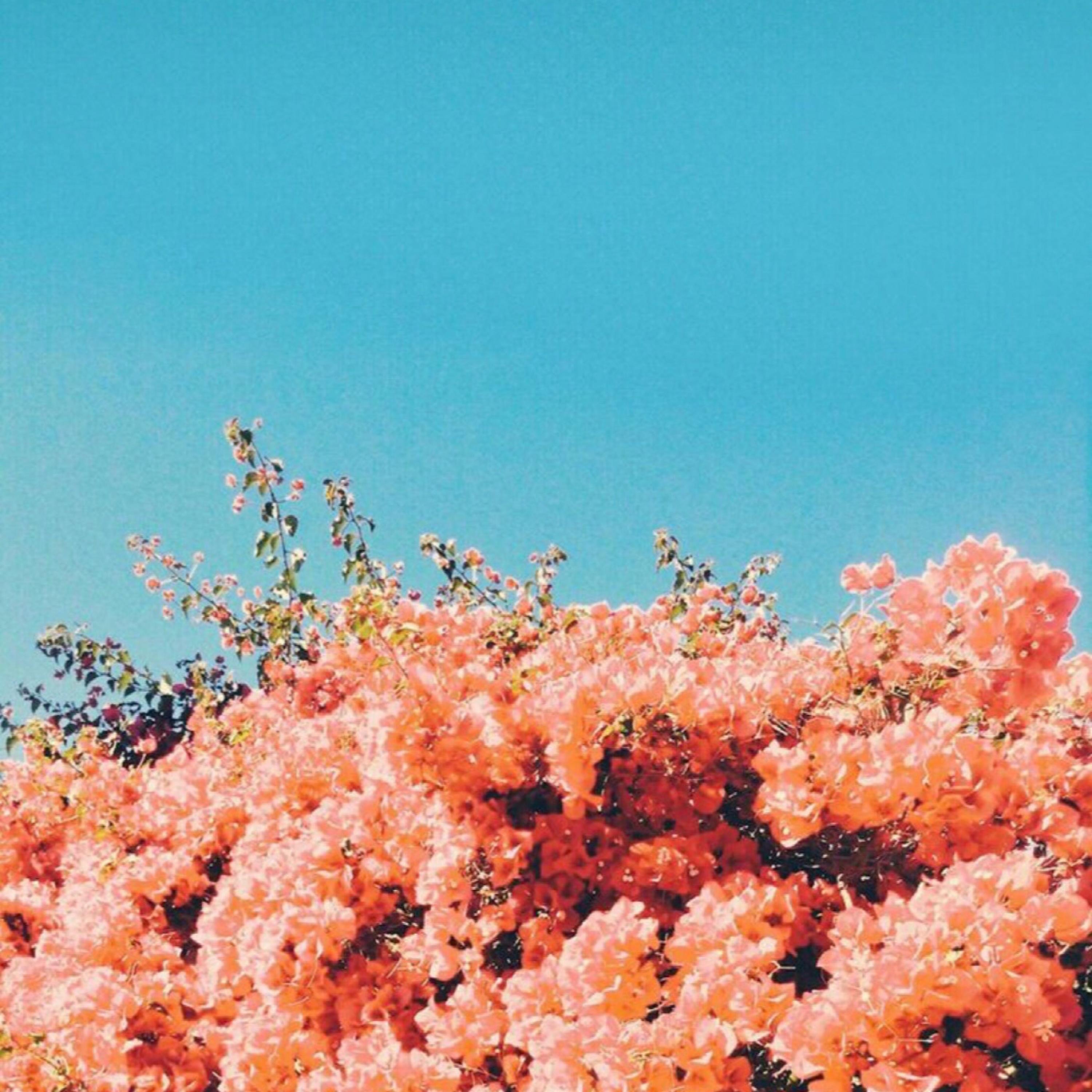 Forgive and Forget - Single album cover